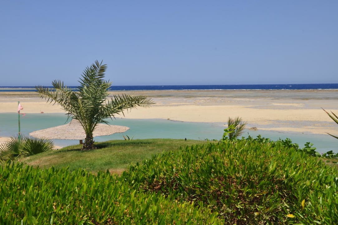 Codzienny odpływ Blue Reef Red Sea Resort