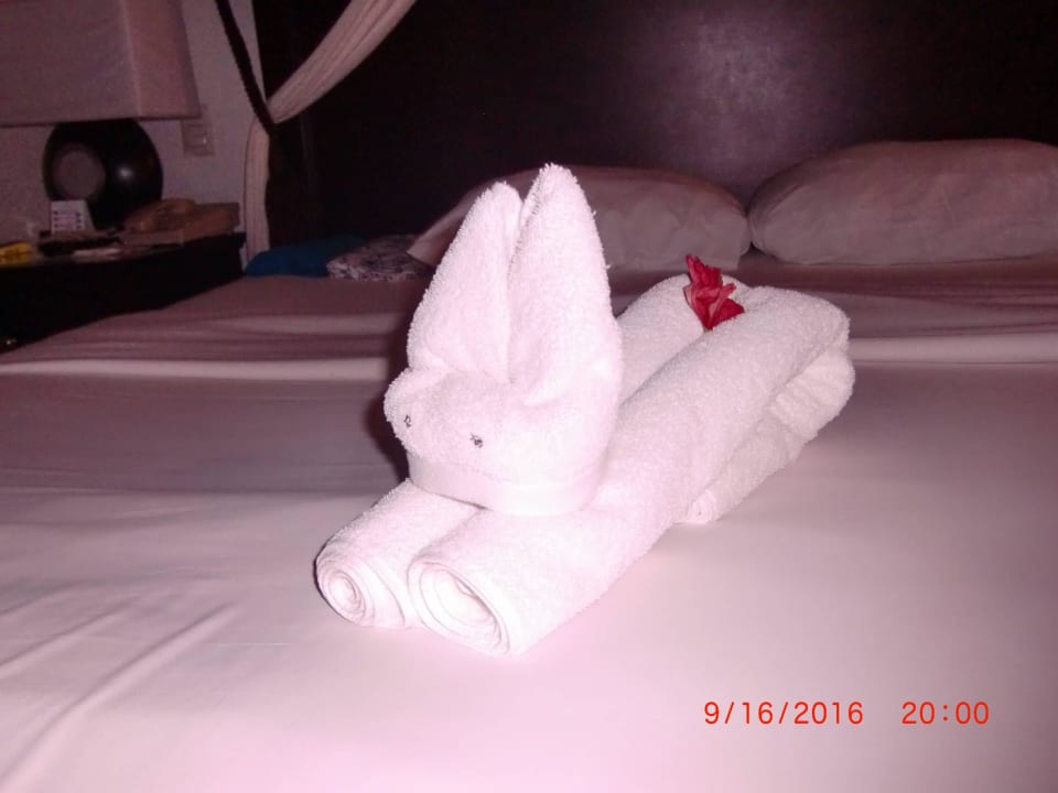 Jeden Tag ein neues Motiv Dreams La Romana Resort & Spa