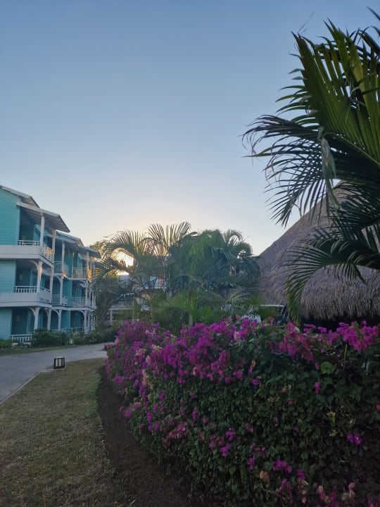 Gartenanlage Royalton Hicacos Resort & Spa - Adults only