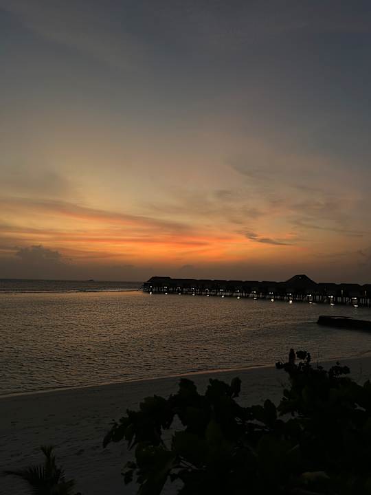 Ausblick Cinnamon Velifushi Maldives - Free One-Way Speedboat and 02 Kids Under 12 Stay & Dine Free