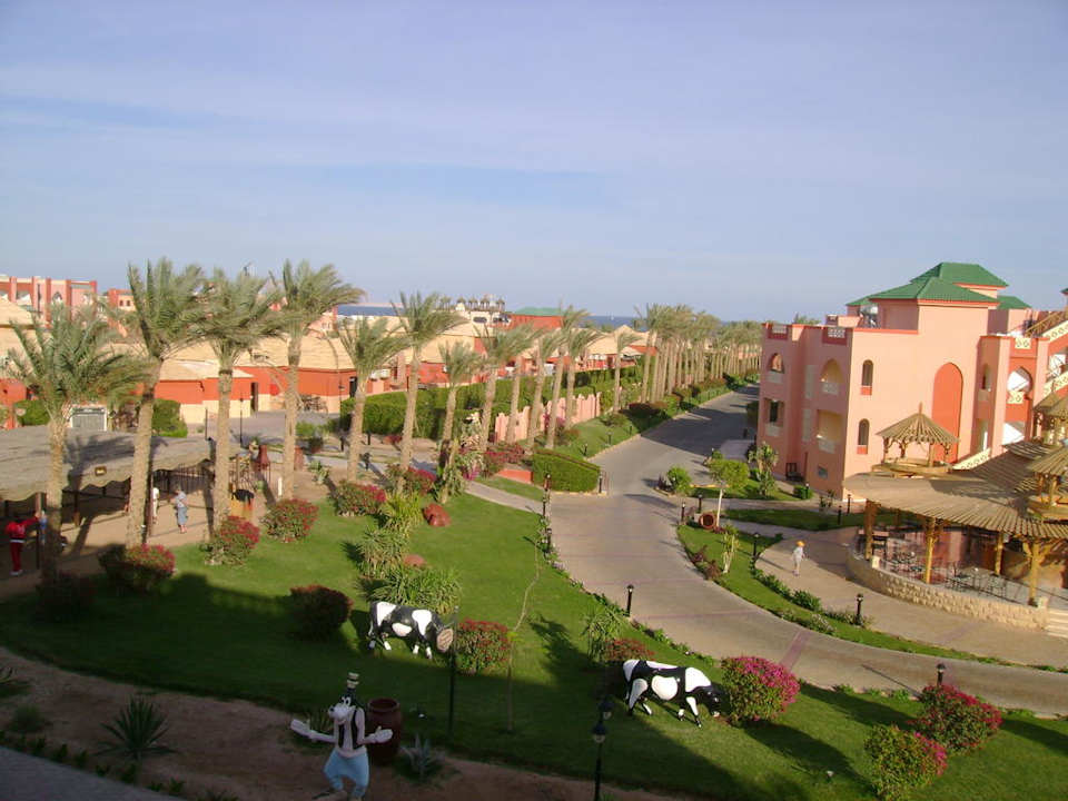 Вид из номера Pickalbatros Aqua Vista Resort - Hurghada