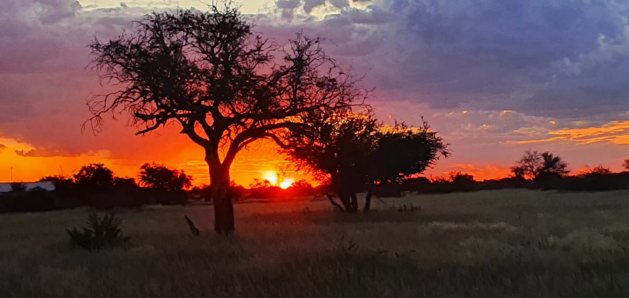 Ausblick Kalahari Anib Lodge