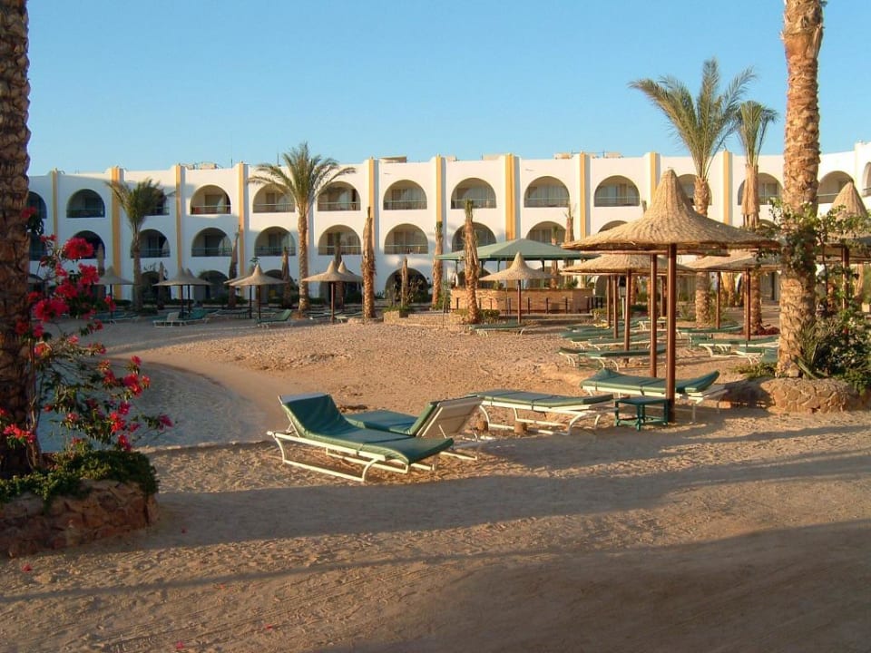 Arabia azur resort 4. Египет Хургада Арабия Азур. Хургада отель Arabia Azur Resort. Арабия Азур Хургада коралл.