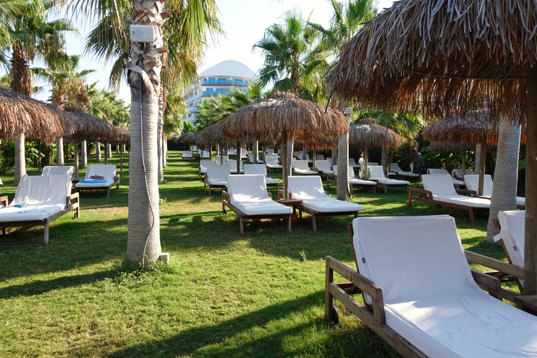 Strand Rubi Platinum Sign