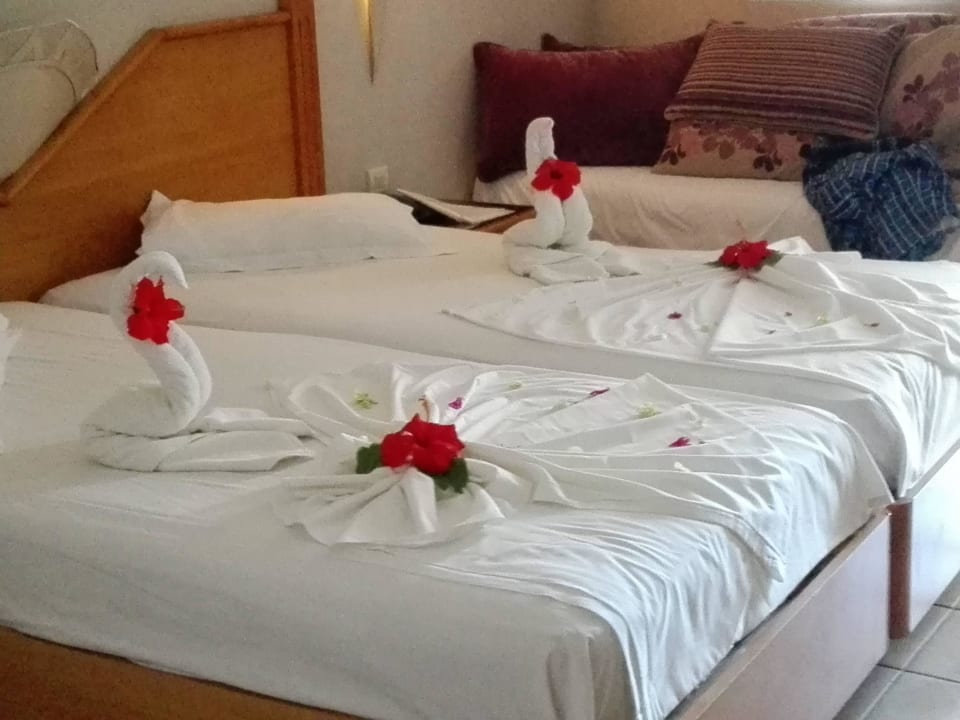 Schönes Zimmer Hotel Djerba Resort