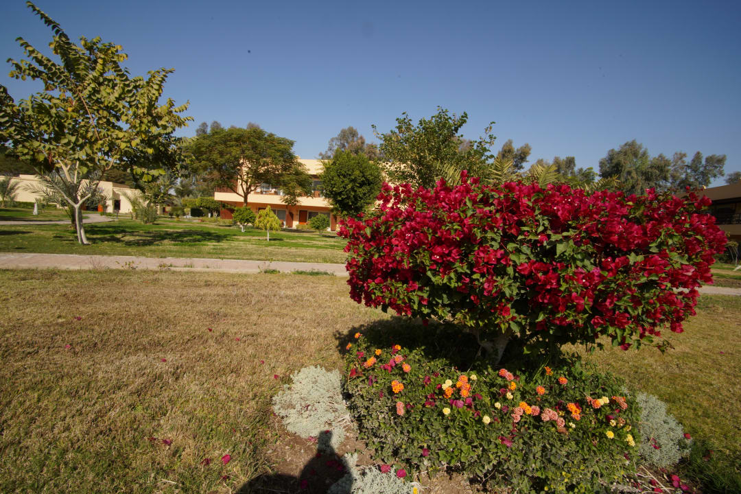 Außenansicht Jolie Ville Kings Island Luxor