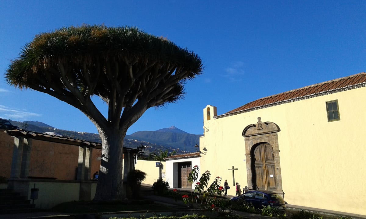 Außenansicht Hotel Perla Tenerife