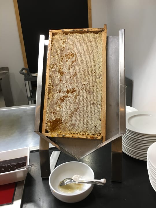 Gastro Dreams Jardín Tropical