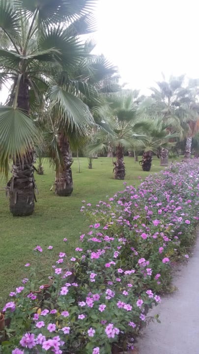 Дорога к морю VONRESORT Golden Beach