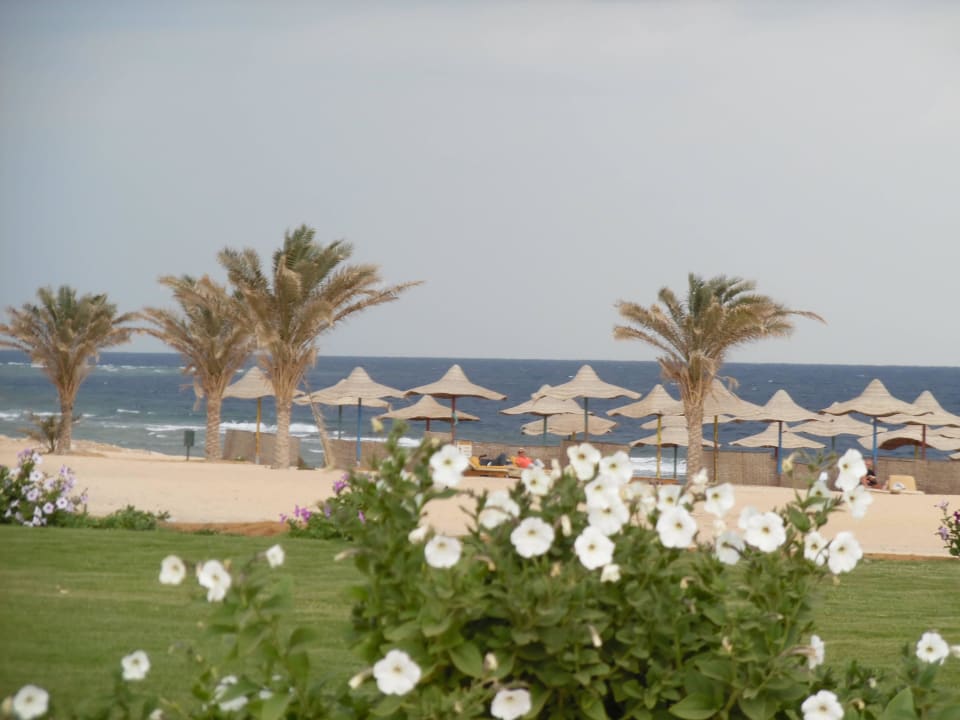 Blick vom Pool Three Corners Sea Beach Resort