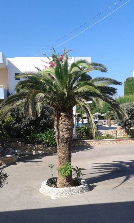 Palma Hotel Kathrin Beach