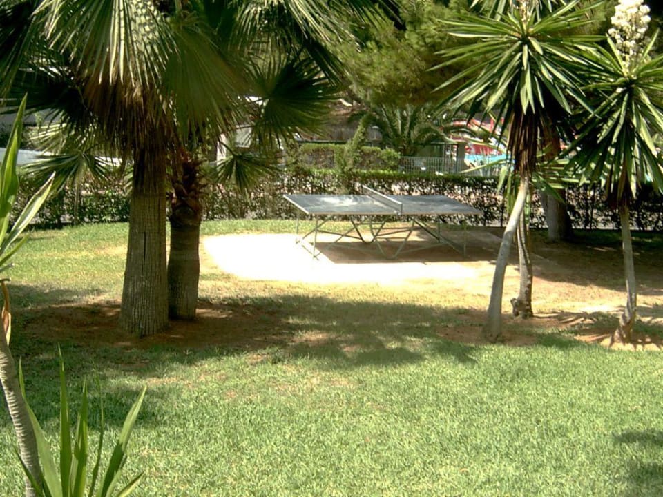 Tischtennisplatte im Garten des Hotels Gavimar La Mirada Club Resort