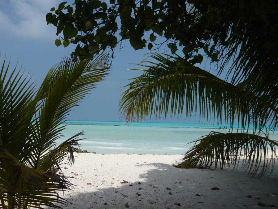 Meeru Island Meeru Maldives Resort Island