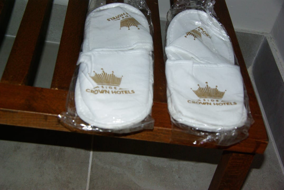 Zimmer Seashell Vega