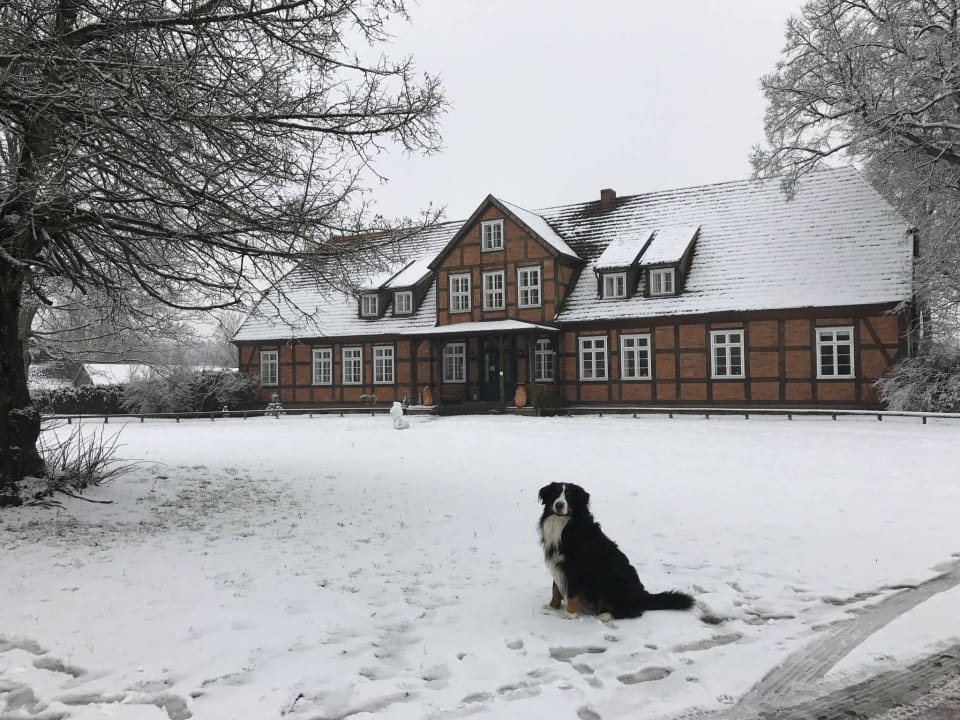 Auch "Er" fühlt sich wohl! Gutshof Woldzegarten