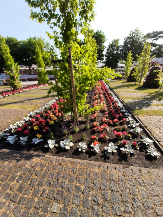 Gartenanlage Hotel Aurora Family & SPA