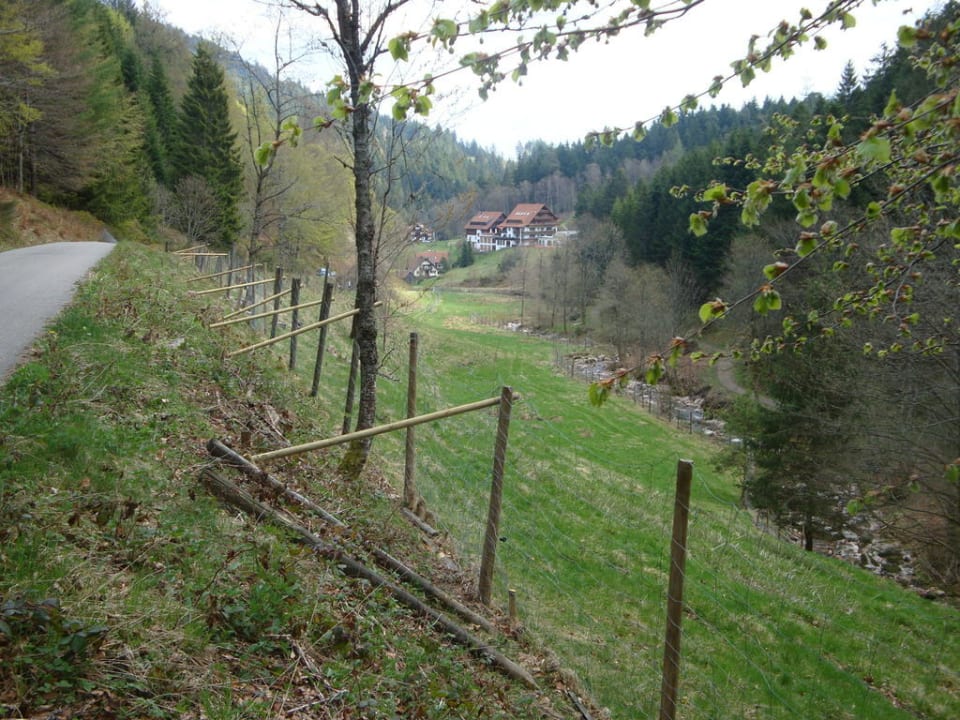 Talanblick des Hauses Wellnesshotel Forsthaus Auerhahn