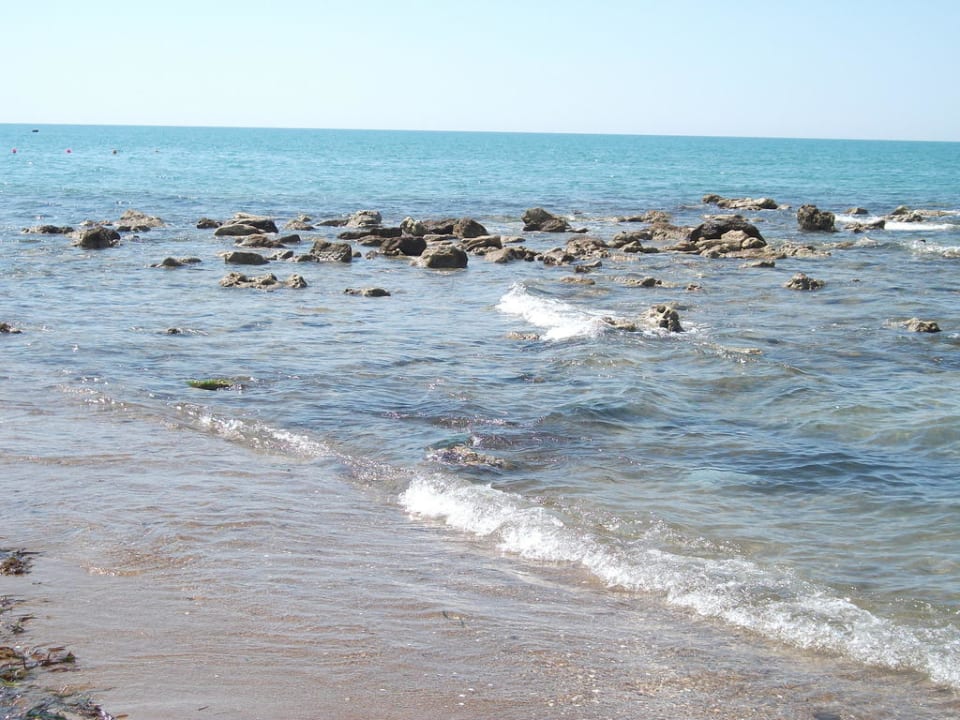 Blick aufs Meer Hotel Orfeus Park