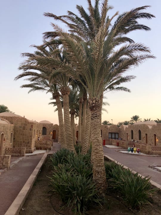 Garten Mövenpick Resort El Quseir