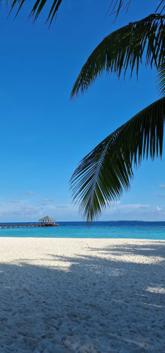 Strand Adaaran Select Meedhupparu Island Resort - Premium All Inclusive