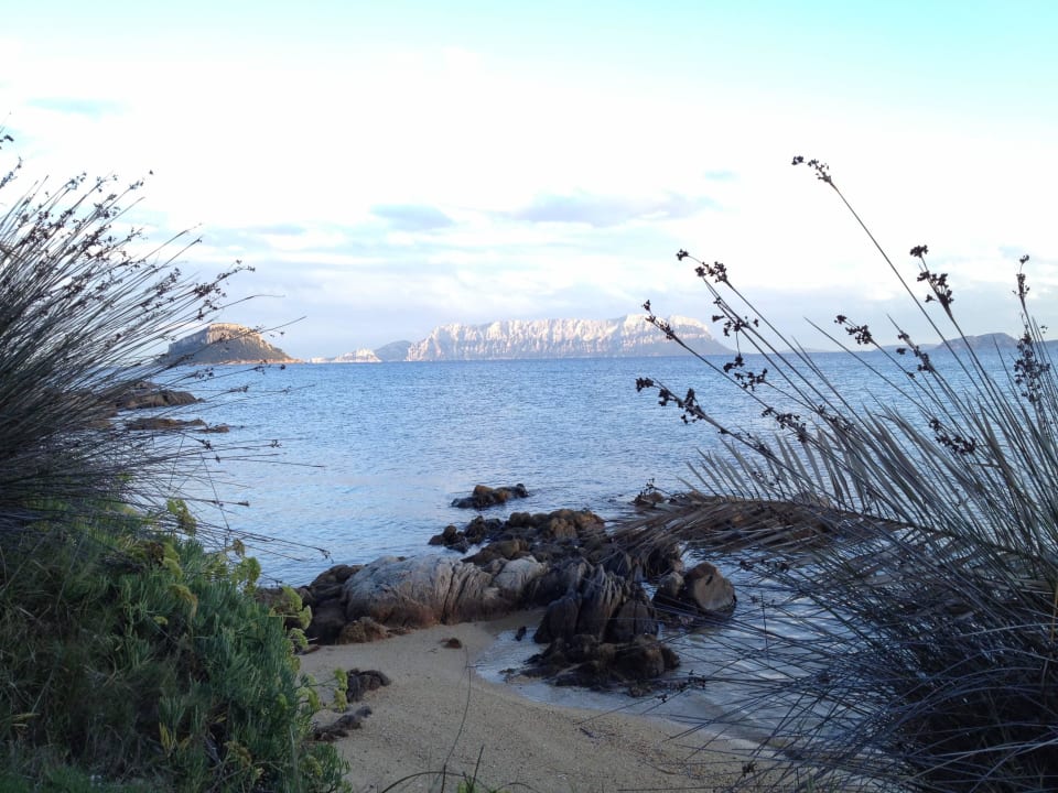 Ausblick in die Bucht Appartments Baia Caddinas Clubresidence