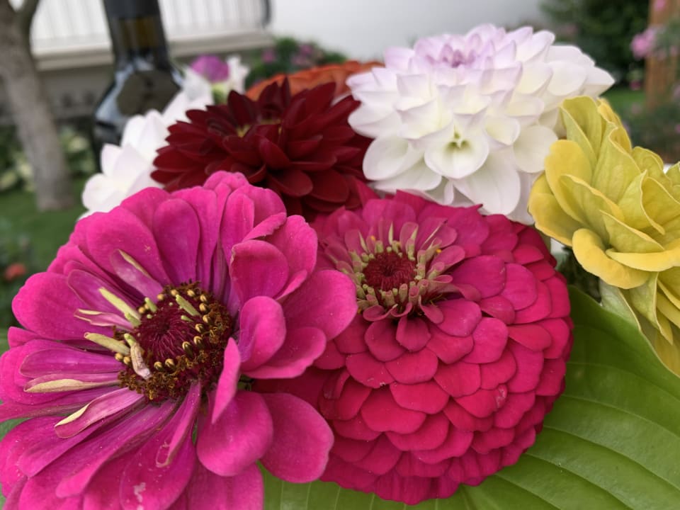 Gartenanlage Gästehaus Florian