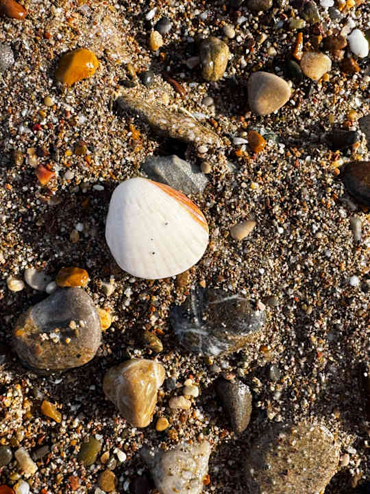 Strand Saturn Palace Resort Hotel