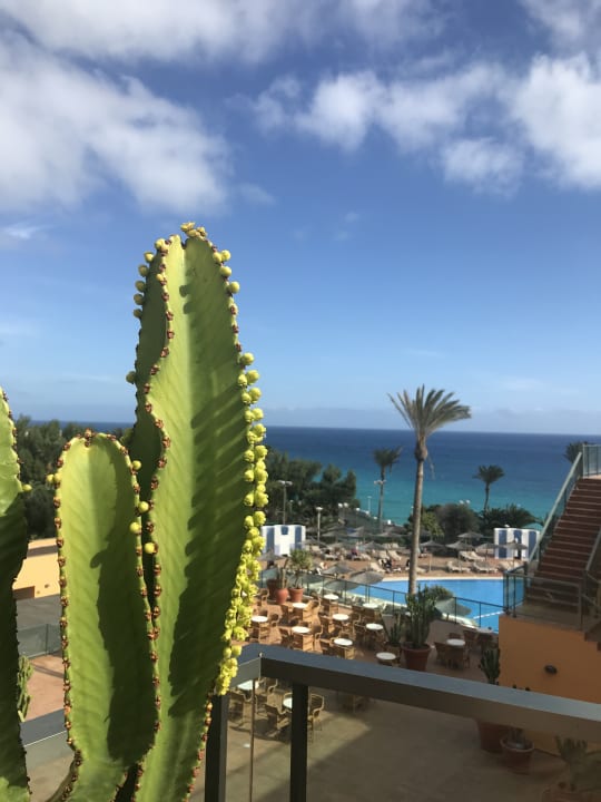 Außenansicht SBH Club Paraiso Playa