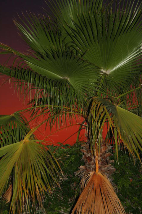 Garten Hotel Orfeus Park