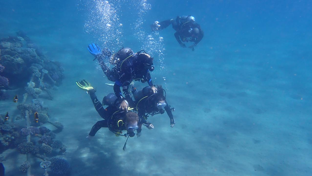 Sport & Freizeit Three Corners Equinox Beach Resort