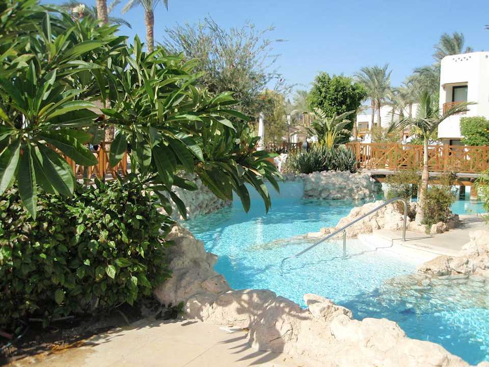 Viel Grün rundum Pool Ghazala Gardens