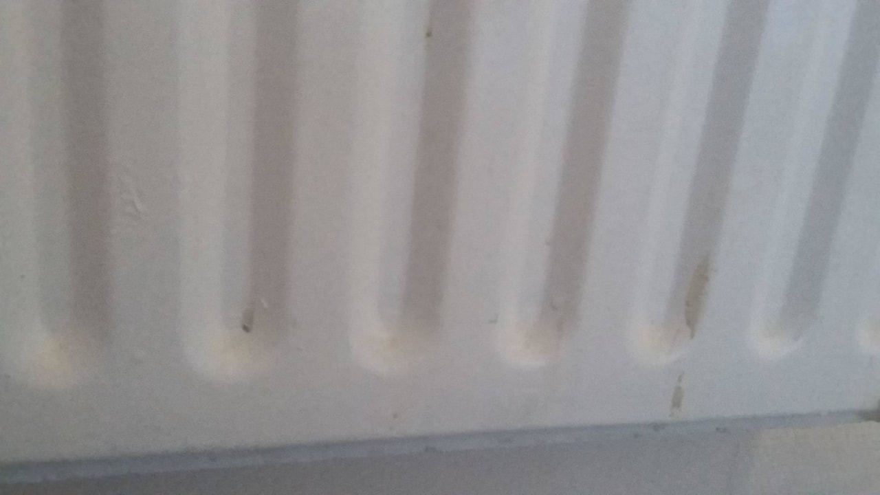 Heizkörper im "neu renovierten Superior-Zimmer" Panoramic - Ihr Apartmenthotel im Harz