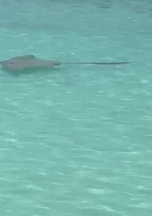 Strand Adaaran Select Meedhupparu Island Resort - Premium All Inclusive