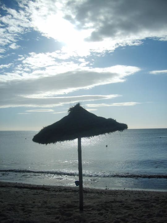 Sonnenaufgang am Strand TUI MAGIC LIFE Africana