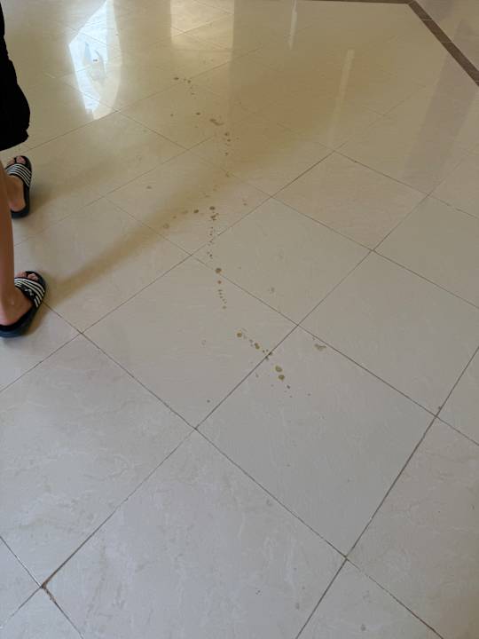 Lobby Coral Hills Resorts & SPA