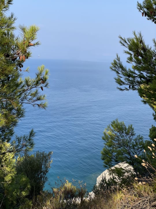 Gartenanlage Hotel Pine Bay Holiday Resort