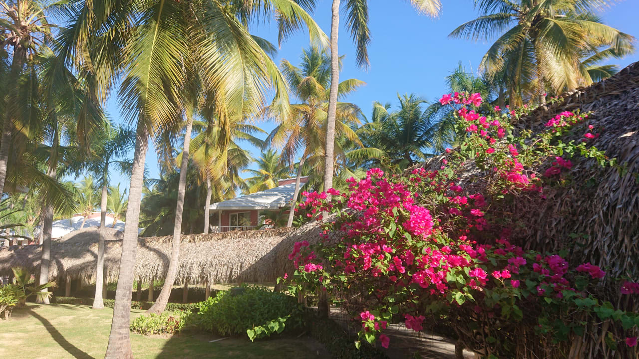 Gartenanlage Grand Palladium Select Bávaro Resort & Spa