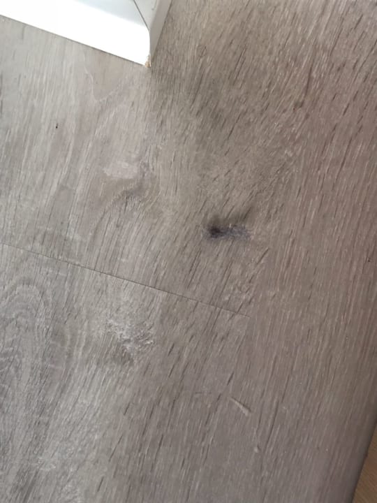 Zimmer CM Playa del Moro