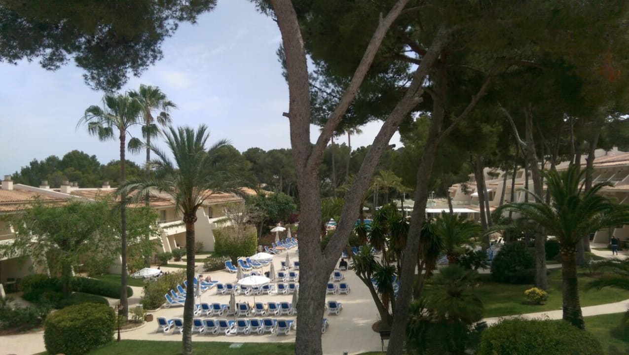 Gartenanlage Iberostar Waves Pinos Park