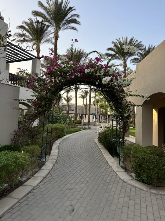Gartenanlage Hotel JAZ Makadi Star & Spa