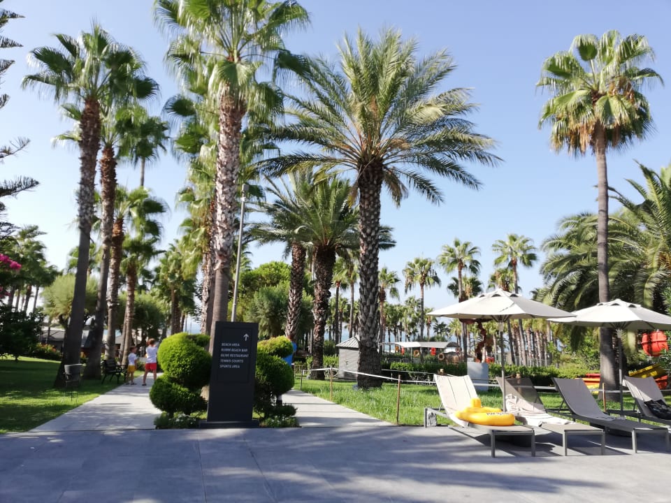 Gartenanlage Hotel Miramare Beach