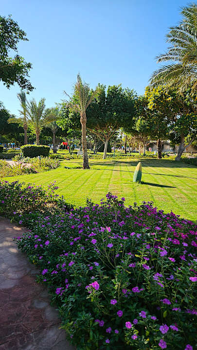 Gartenanlage Desert Rose