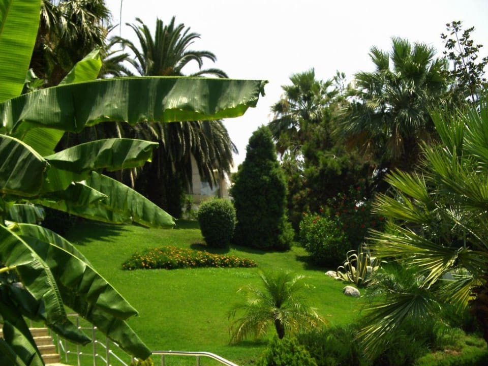 Garten Side Star Elegance