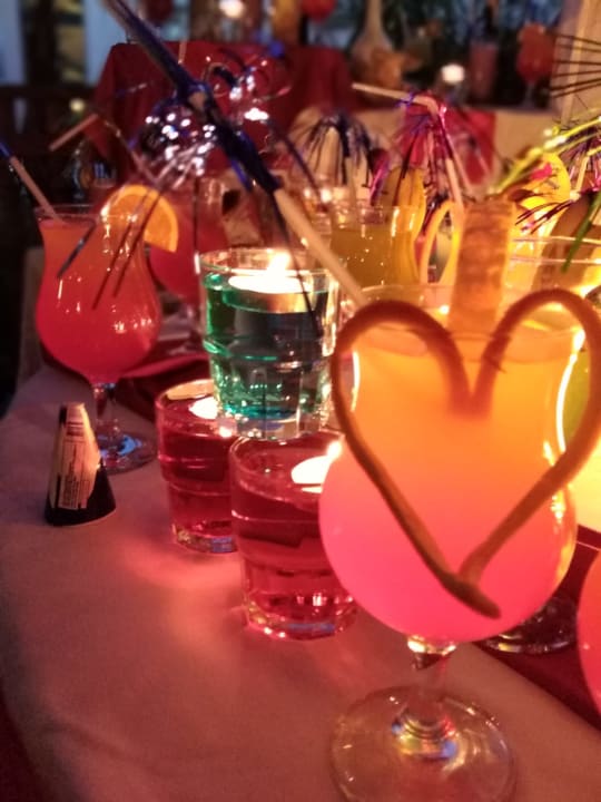 Gastro Well Palace Side