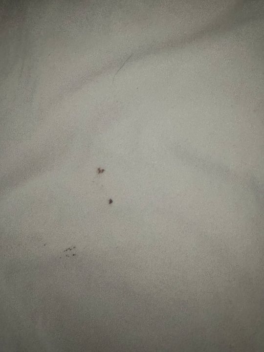 Zimmer White Valley Palace