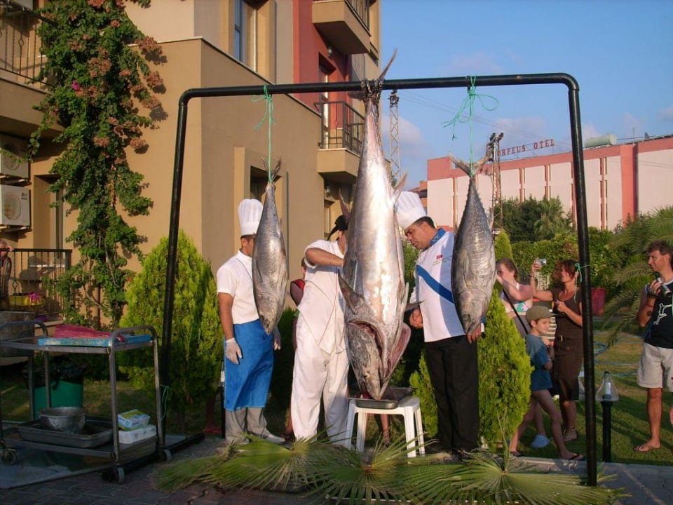 Fisch frisch zubereitet Hotel Victory Resort