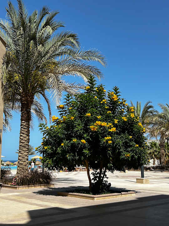 Sonstiges Lazuli Hotel Marsa Alam