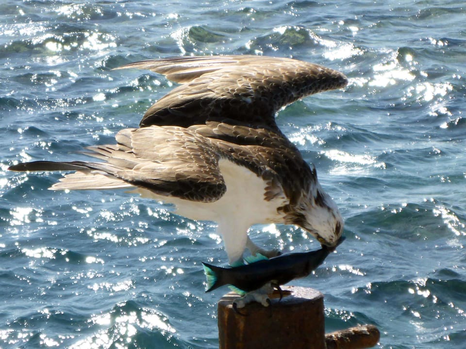 Strand Casa Mare Resort