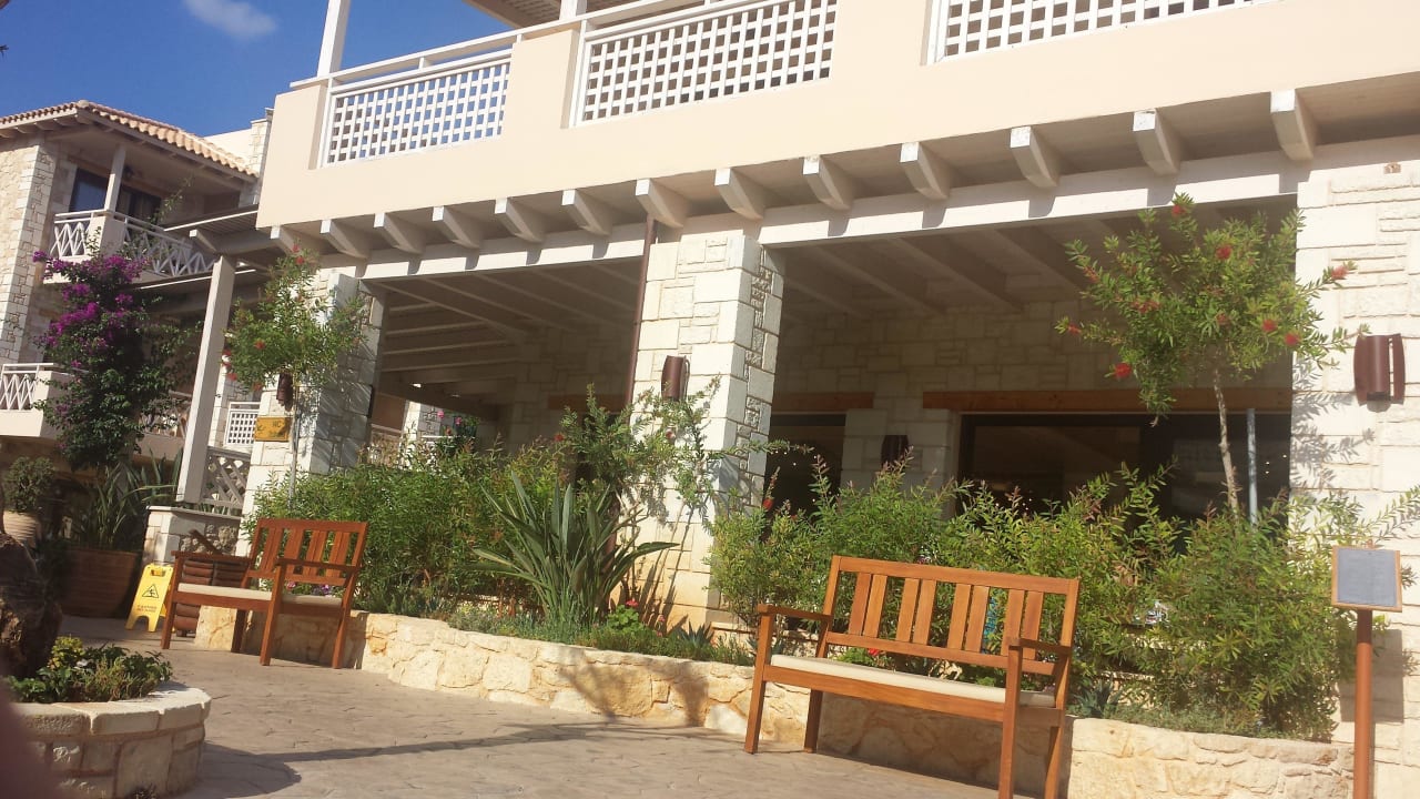 Innenhof Cactus Royal