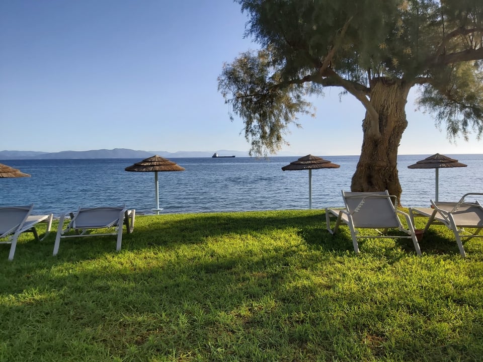 Strand TUI BLUE Oceanis Beach and Spa Resort